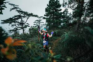 BIB: 
                            <button type="button" onclick="openModal(25260455)" class="btn btn-primary btn-sm float-right btn-popup" data-toggle="modal" data-target=".modal-high-quality">
                        <i class="fas fa-shopping-cart"></i> Add to Cart
                    </button>
                                            <button type="button" onclick="isThisMe(25260455, true)" class="btn btn-success btn-sm float-right btn-popup btn-isme hidden" data-toggle="tooltip" data-placement="bottom" title="นี่คือรูปของคุณใช่ไหม คลิกที่นี่เพื่อเอาเข้าอัลบั้ม">
                        <i class="fas fa-plus"></i> Add to album
                    </button>
                    <button type="button" onclick="isThisMe(25260455, false)" class="btn btn-warning btn-sm float-right btn-popup btn-isnotme hidden">
                        <i class="fas fa-ban"></i> Remove from album
                    </button>